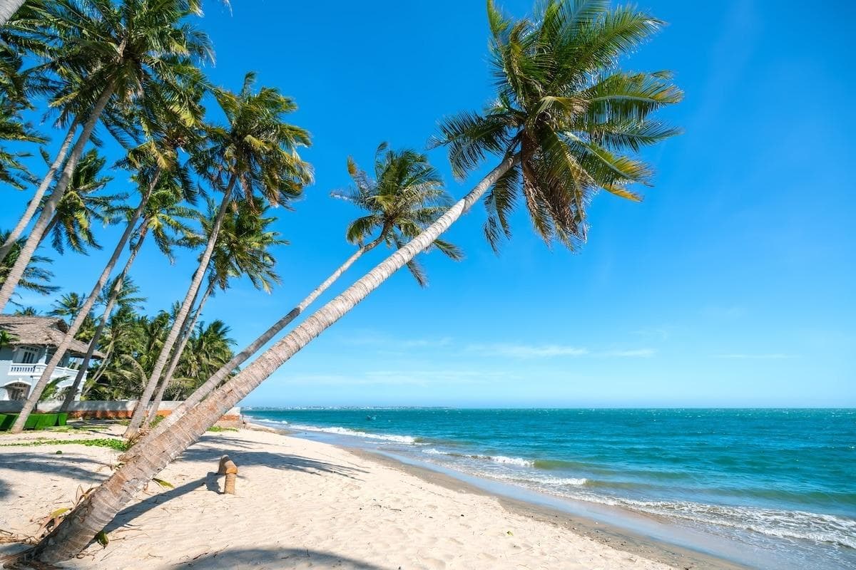 探索范市（Phan Thiet）的最佳旅游时间：旅行者季节指南