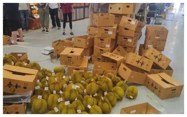 250万吨榴莲难寻买家，泰国越南急寻出路！出口影响分析