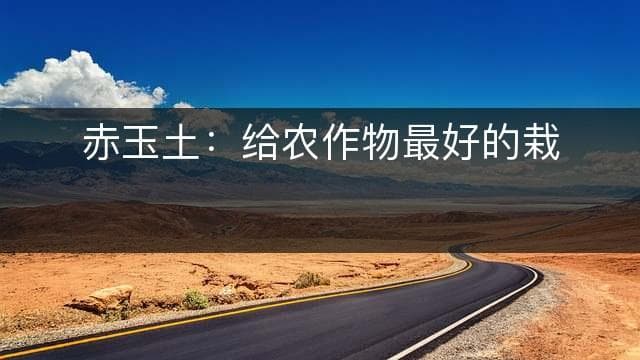 赤玉土：给农作物最好的栽培环境