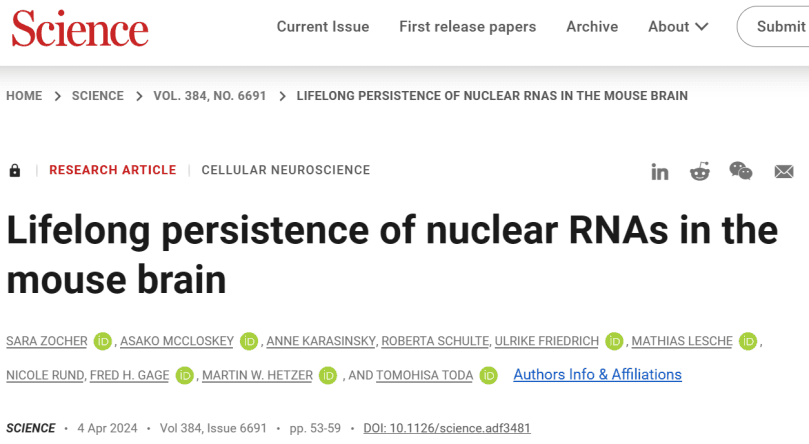 Science | 颠覆认知！RNA的寿命远超想象