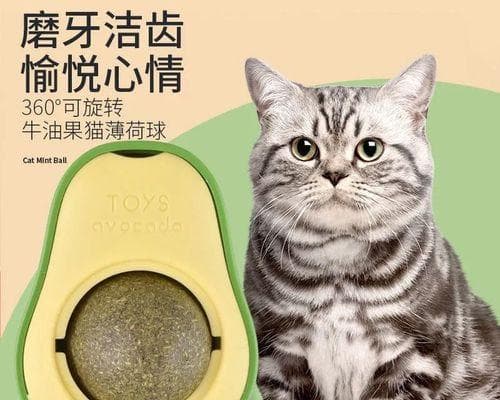 给猫吃猫薄荷的好处及注意事项（猫薄荷的功效与作用）