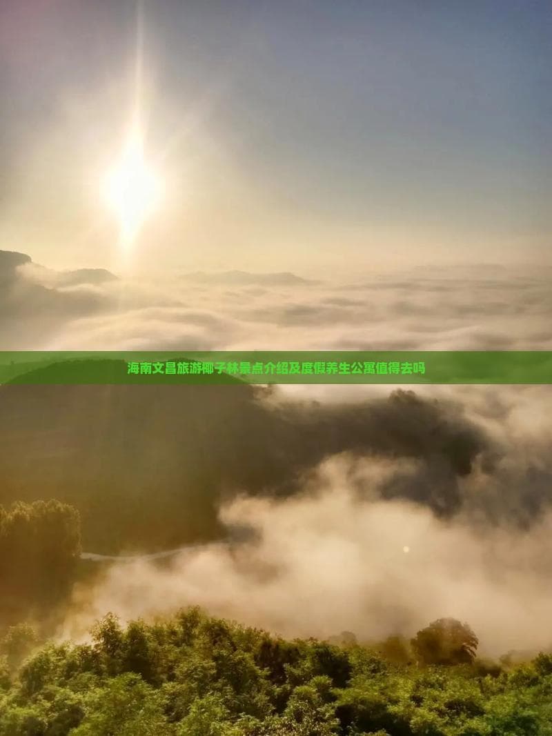 海南文昌旅游椰子林景点介绍及度假养生公寓值得去吗