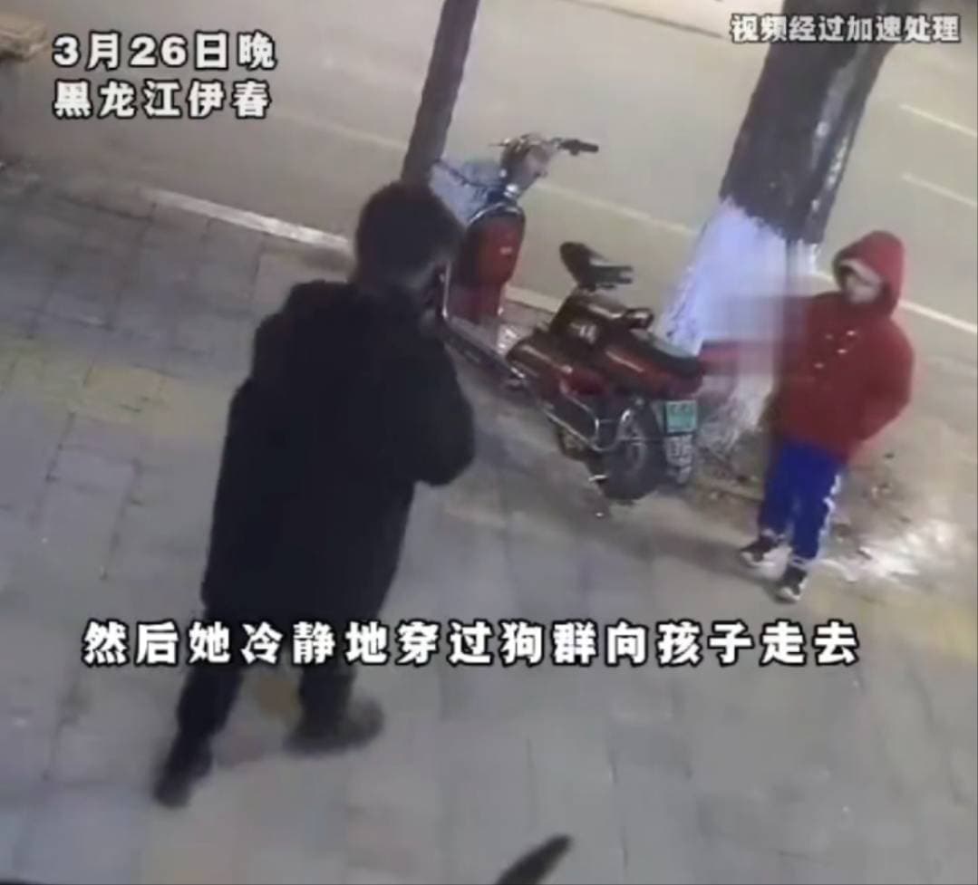 遇狗群怎么办？这位妈妈的保护方式太教科书了！