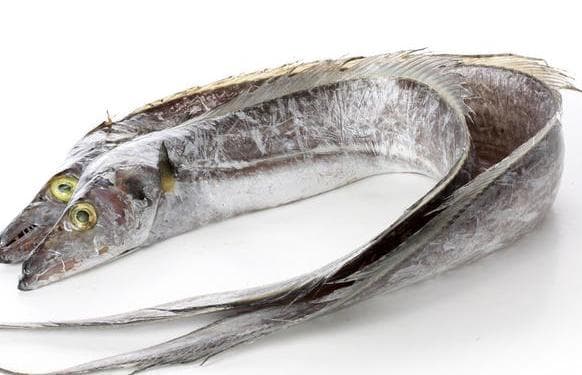 选购带鱼看四点：冰层、鱼鳞、眼睛、完整性
