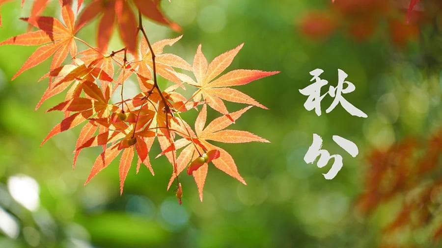 228年最早秋分来临，中医专家详解秋季养生全攻略