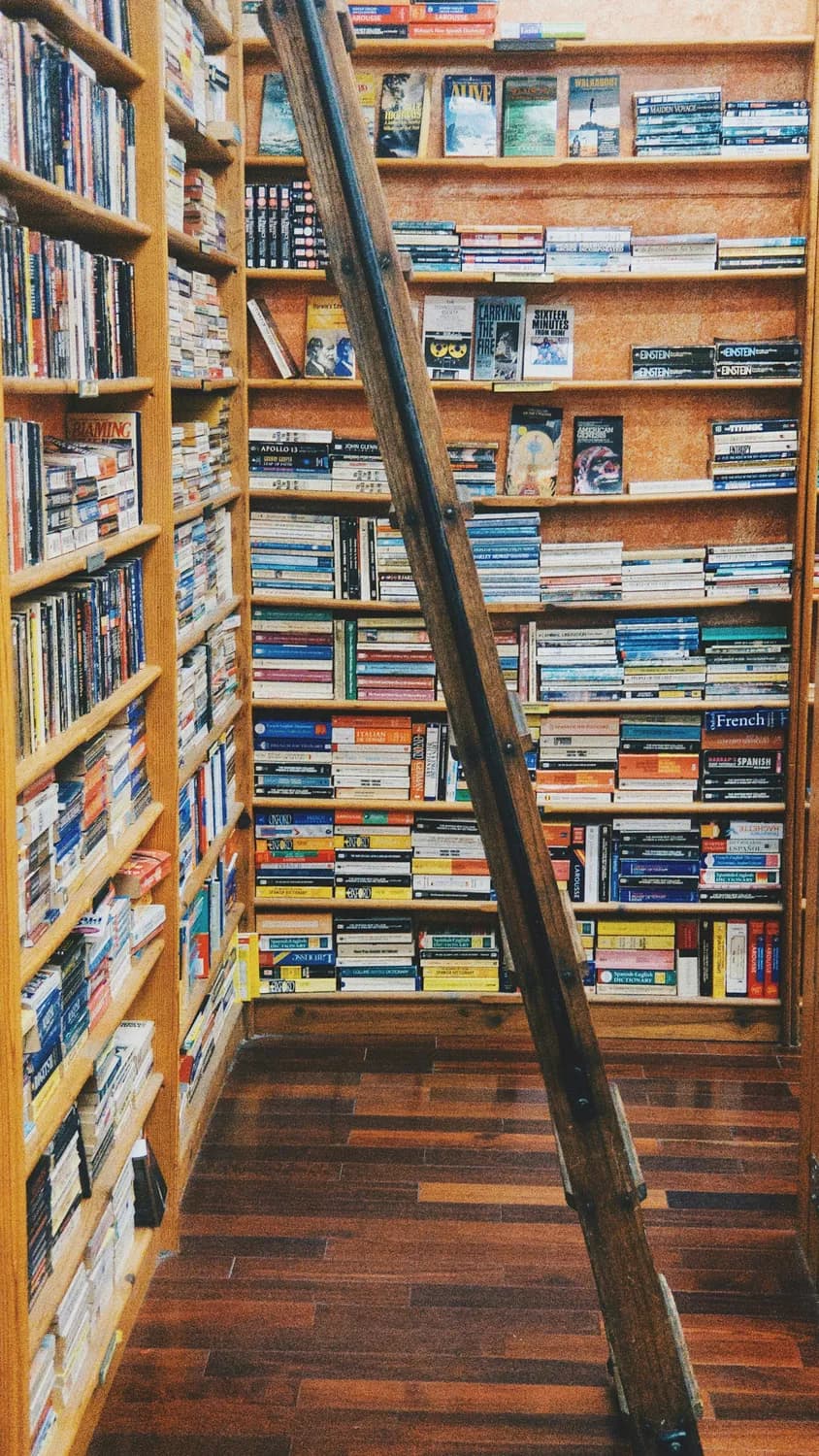 流年往事新作《主神的黑店》来袭：异世界开店卖现代武器