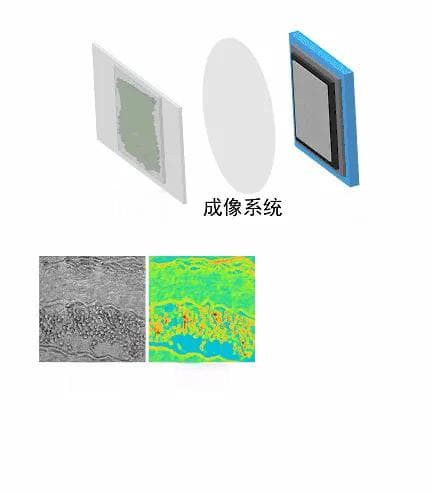 基于全息术的定量相位成像：趋势和展望