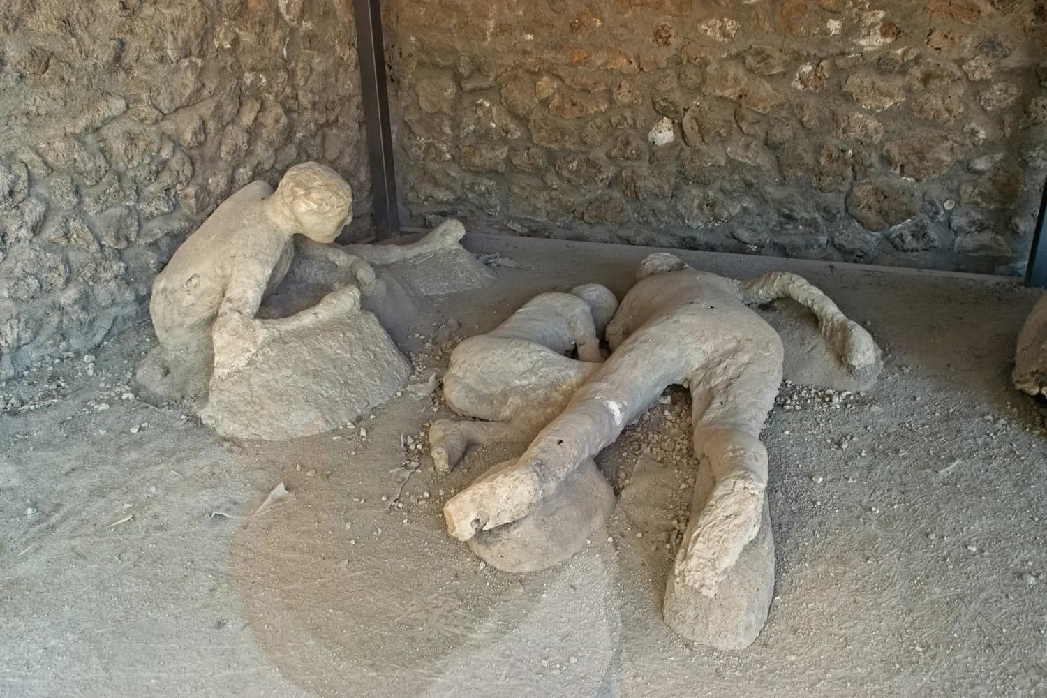 法医揭秘：巨人观背后的微生物真相