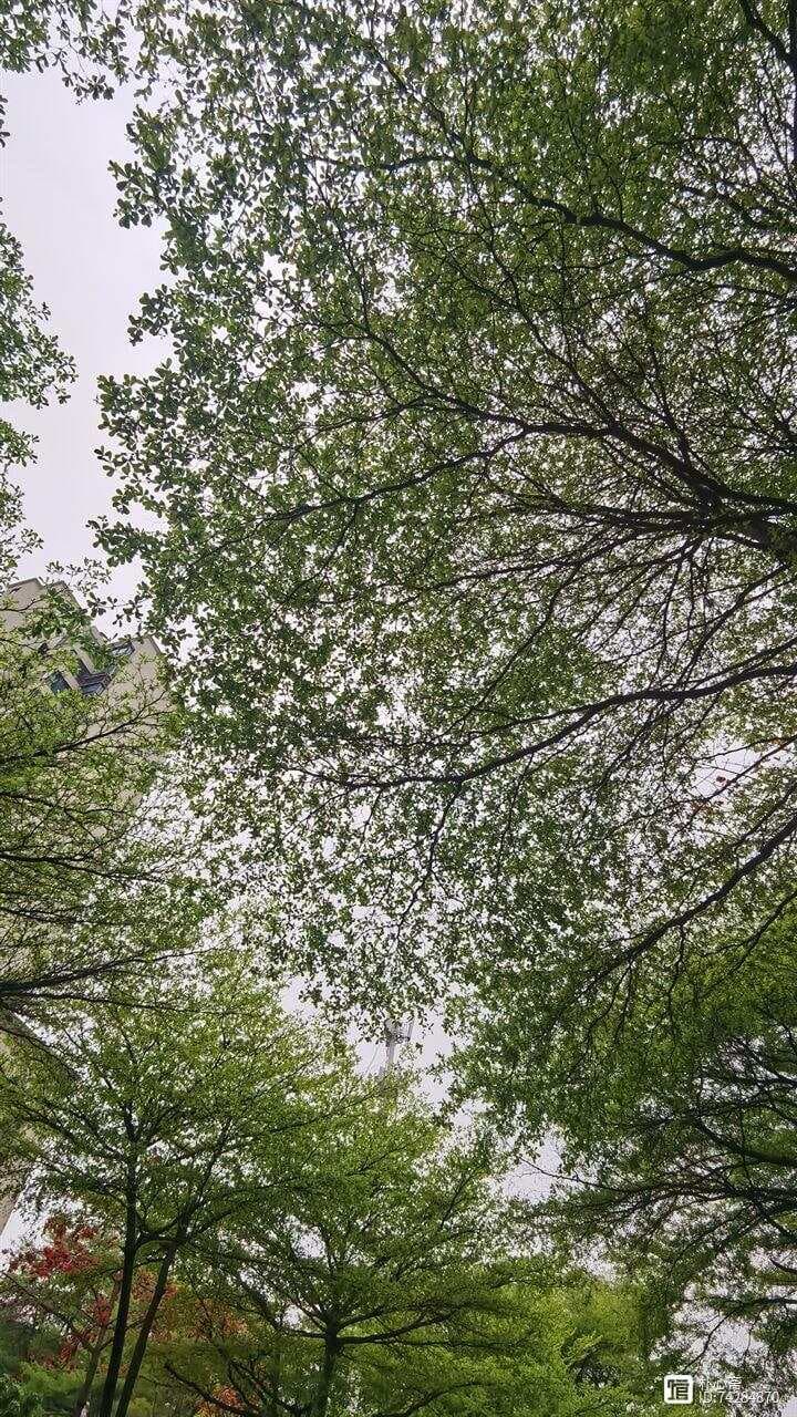 解锁王阳明心学密码：这五本书不可错过