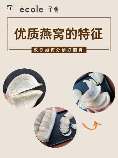 燕窝都有什么品类的产品及其优劣特点介绍