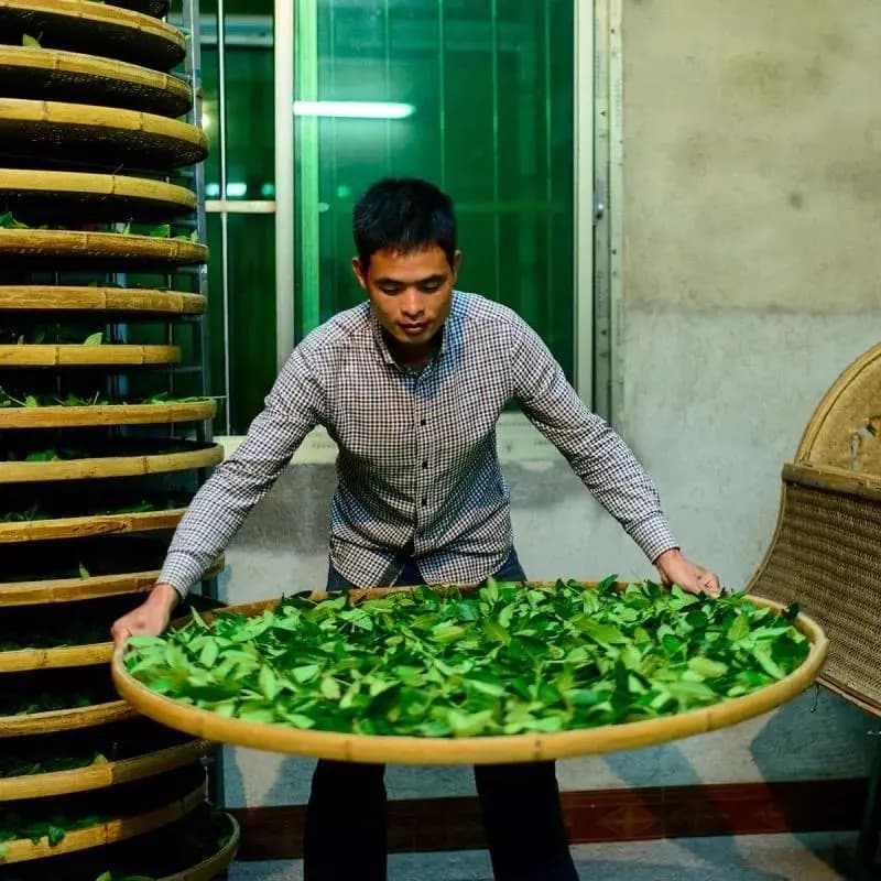 茶叶烘焙去苦涩技术研究