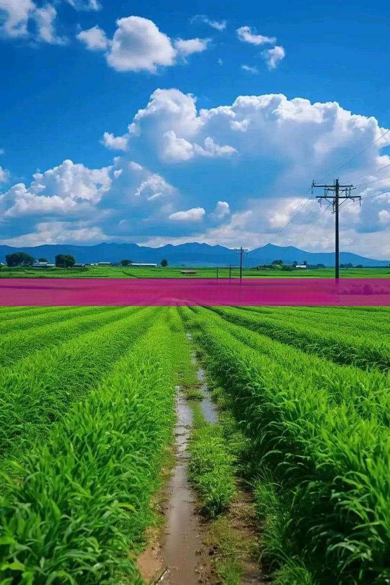 探寻省外魅力：非四川籍热门旅游目的地指南
