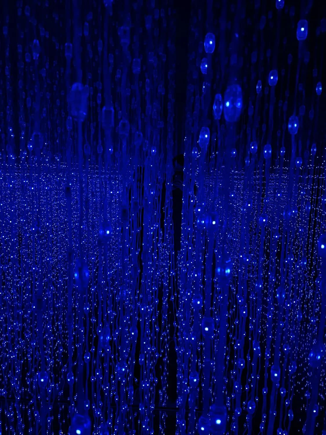 打卡澳门新地标：teamLab & 哈利·波特展