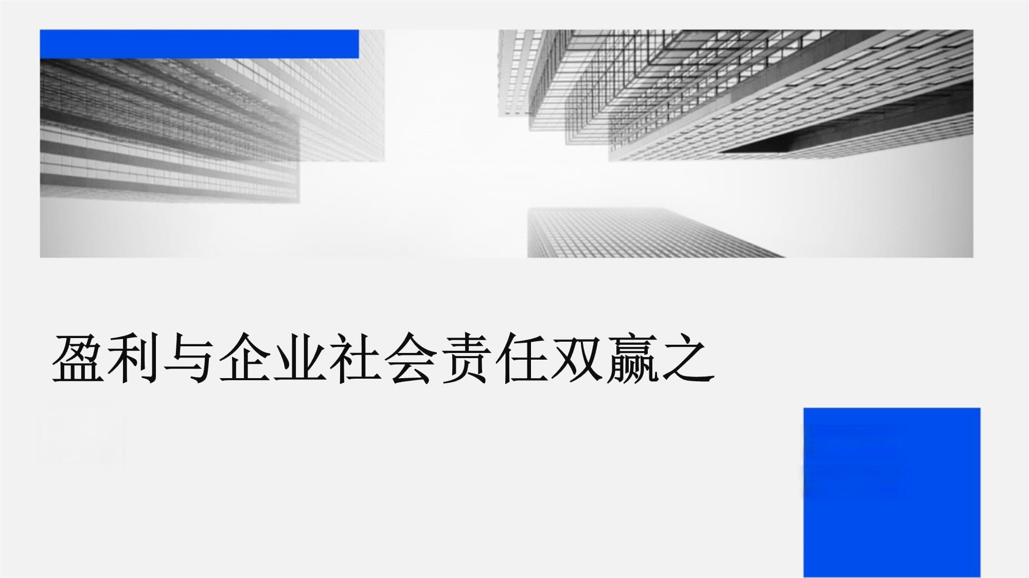 盈利与企业社会责任双赢之道