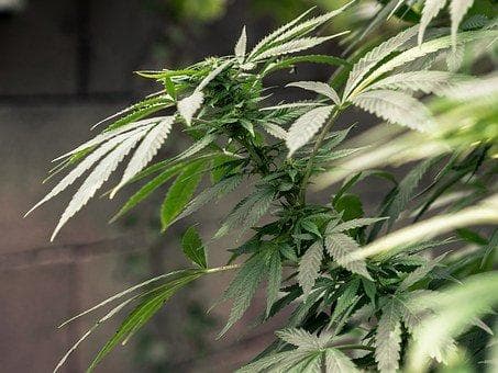 8岁孩子胆小害怕恐惧怎么办