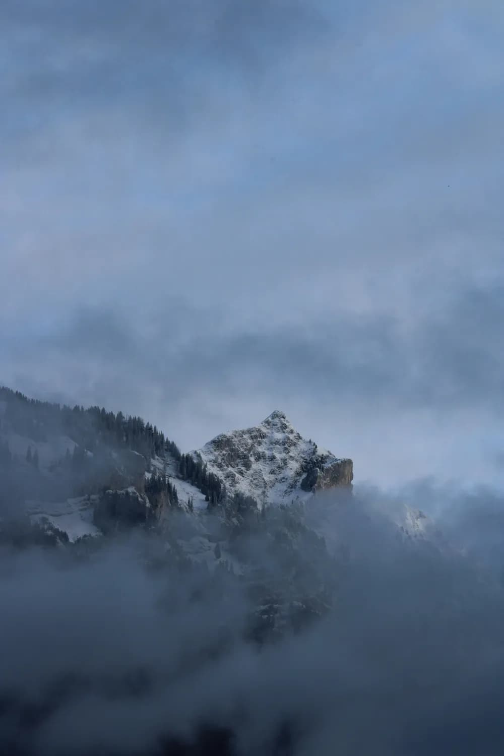 武当山金顶初雪，仙境打卡攻略！