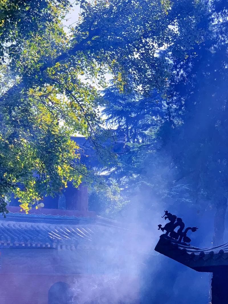 中国四大名寺：个个家喻户晓，闻名世界