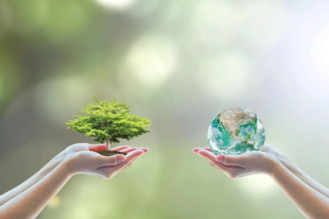 春季养肝正当时！5个不起眼的小习惯，对肝脏竟有大好处