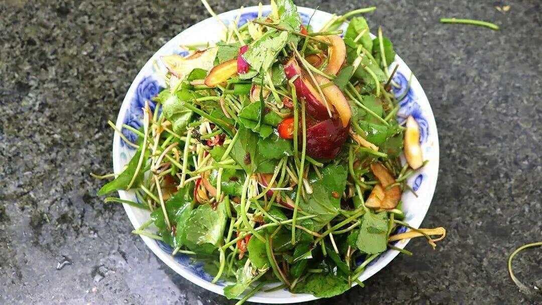 广西农村人喜欢吃的8种野菜，吃过几种，你家乡有吗？