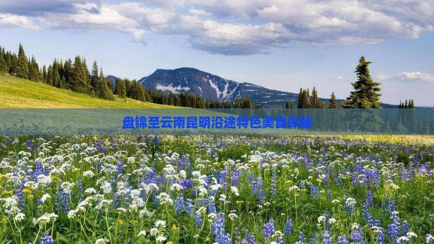 盘锦至昆明美食攻略：千里之行，尽享舌尖上的盛宴