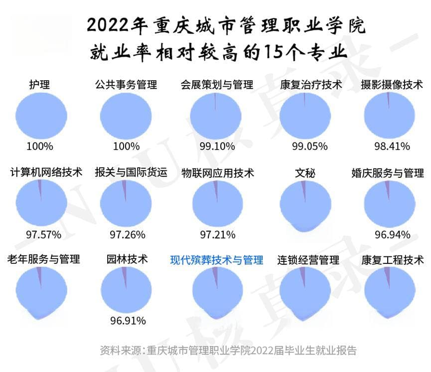 揭秘殡葬行业：就业率与薪资真相