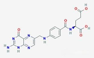 预防胎儿神经管缺陷的利器——叶酸