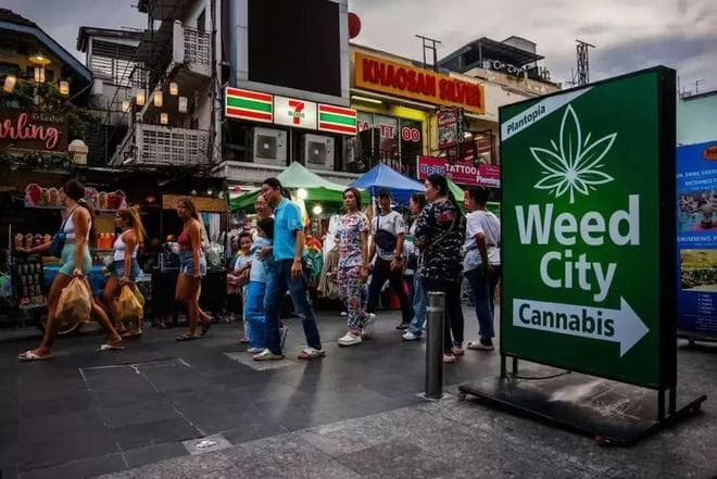 大麻合法化两年，突然宣布终结：“戏剧性”转折背后，泰国付出了什么代价？