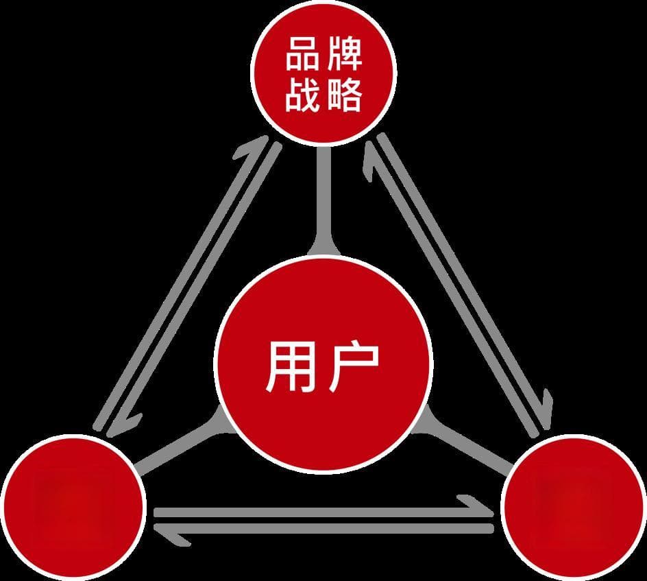 从“yyds”到“小贝”：网络热词的传播密码与教育警示