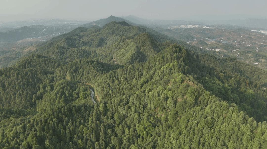 重庆明月山：主城“四山”之一的自然瑰宝