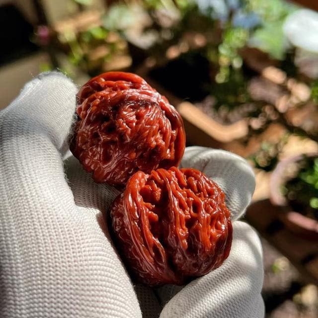 核桃笑谈：轻松解锁文玩核桃的盘玩秘籍，乐在其中！