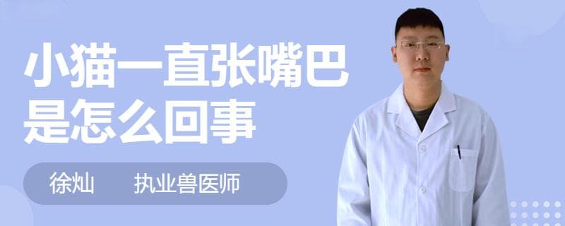 小猫一直张嘴巴是怎么回事