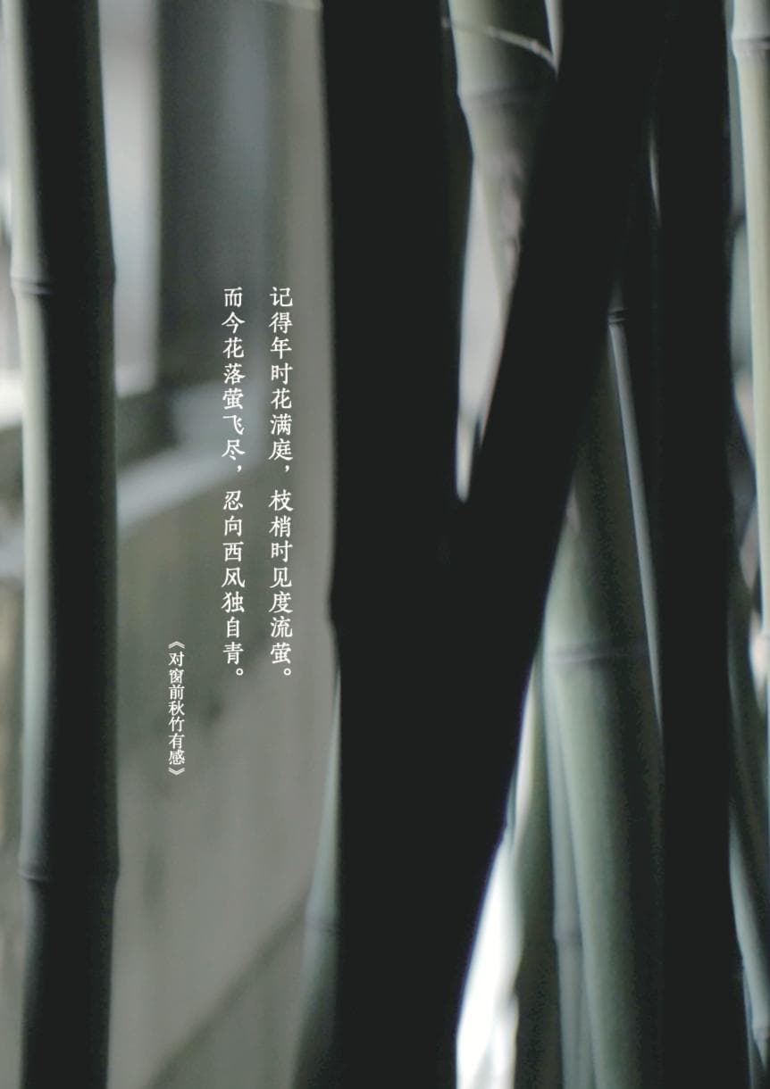 纪念叶嘉莹：“一世多艰，是诗词救了她”