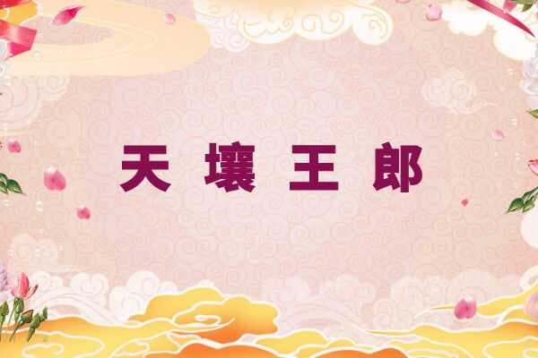 天壤王郎 成语故事