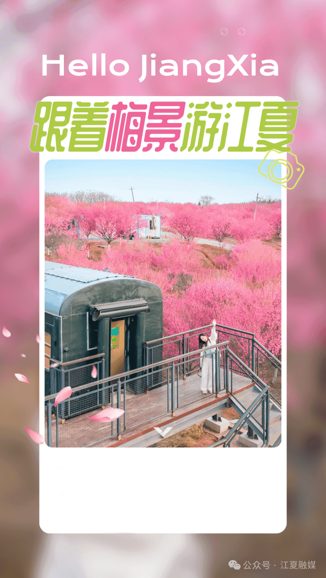 江夏“梅”景，也太太太好看了吧！