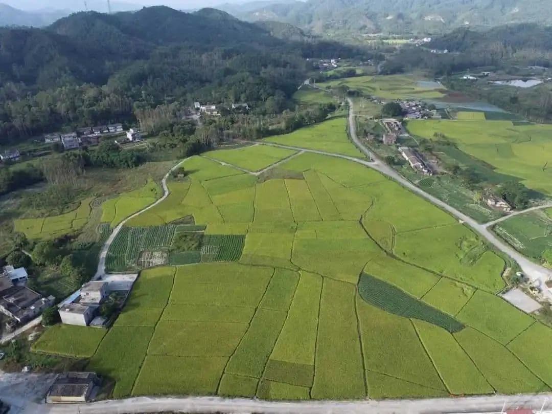 致富路、连心路、振兴路……探寻云南昭通“循路崛起”的绿美乡村之路