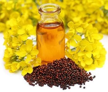 菜籽油：从工业润滑到生物燃料的多用途油脂