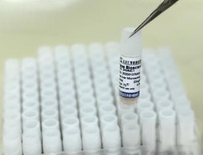 肝微粒体：药物代谢的微观引擎与毒性预警的关键哨兵