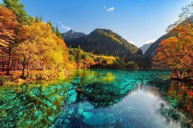 国内最适合自驾游的8个城市，收藏起来，累了就出去走一走！