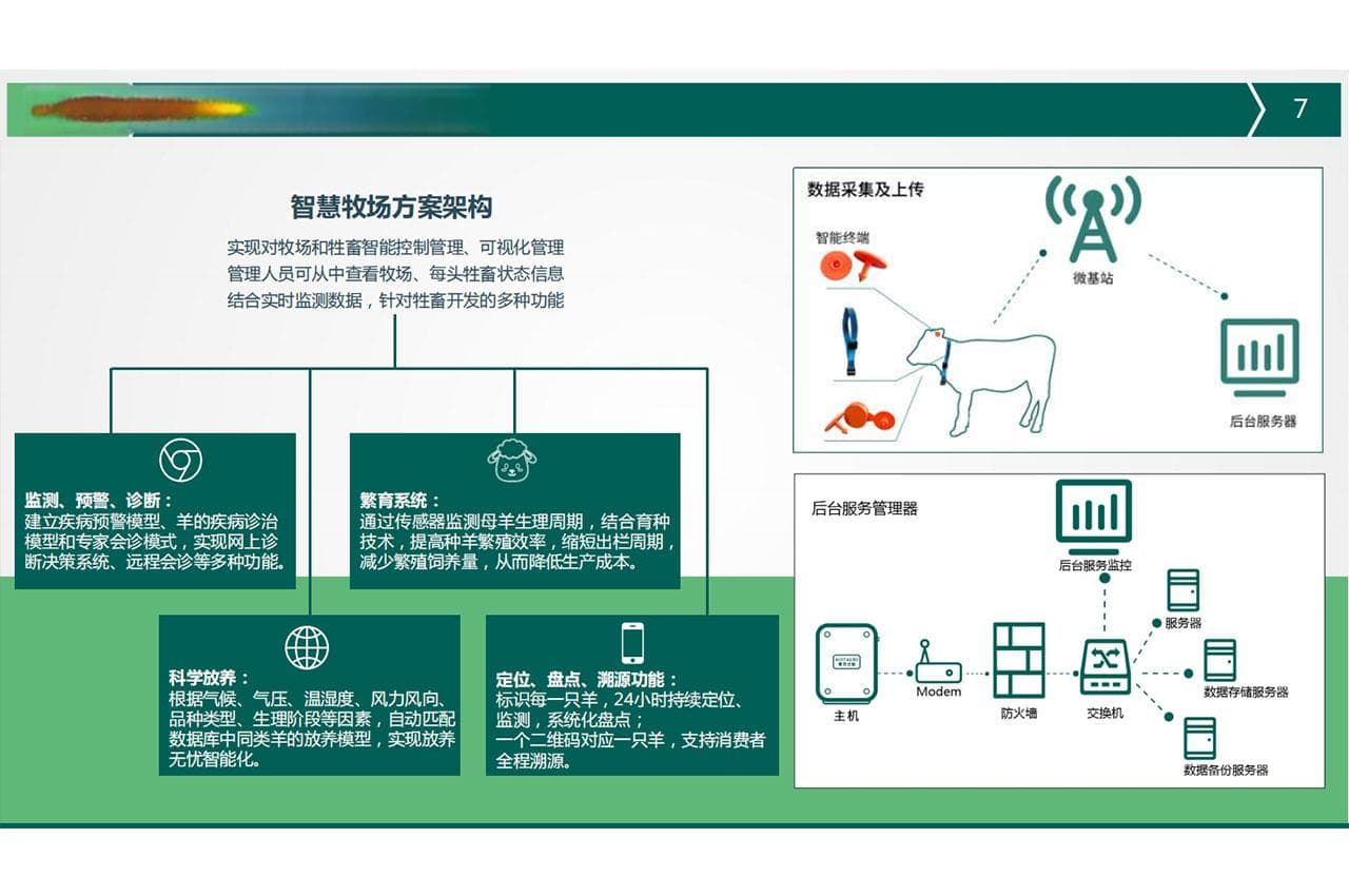 奶山羊精准饲喂系统：提高奶山羊产量与健康的关键