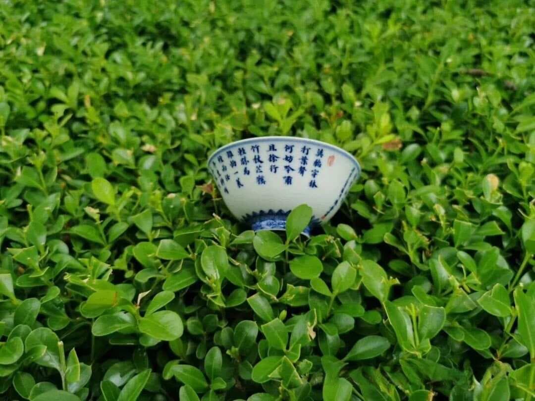 简述西欧联合以及欧洲经济共同体的初步形成