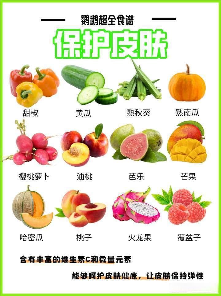 新手养鹦鹉指南：虎皮鹦鹉的水果蔬菜食谱