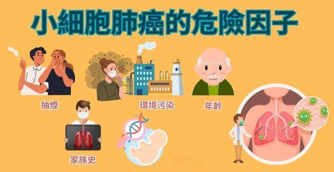 认识癌症头号杀手「肺癌」种类、症状、诊断与治疗选择