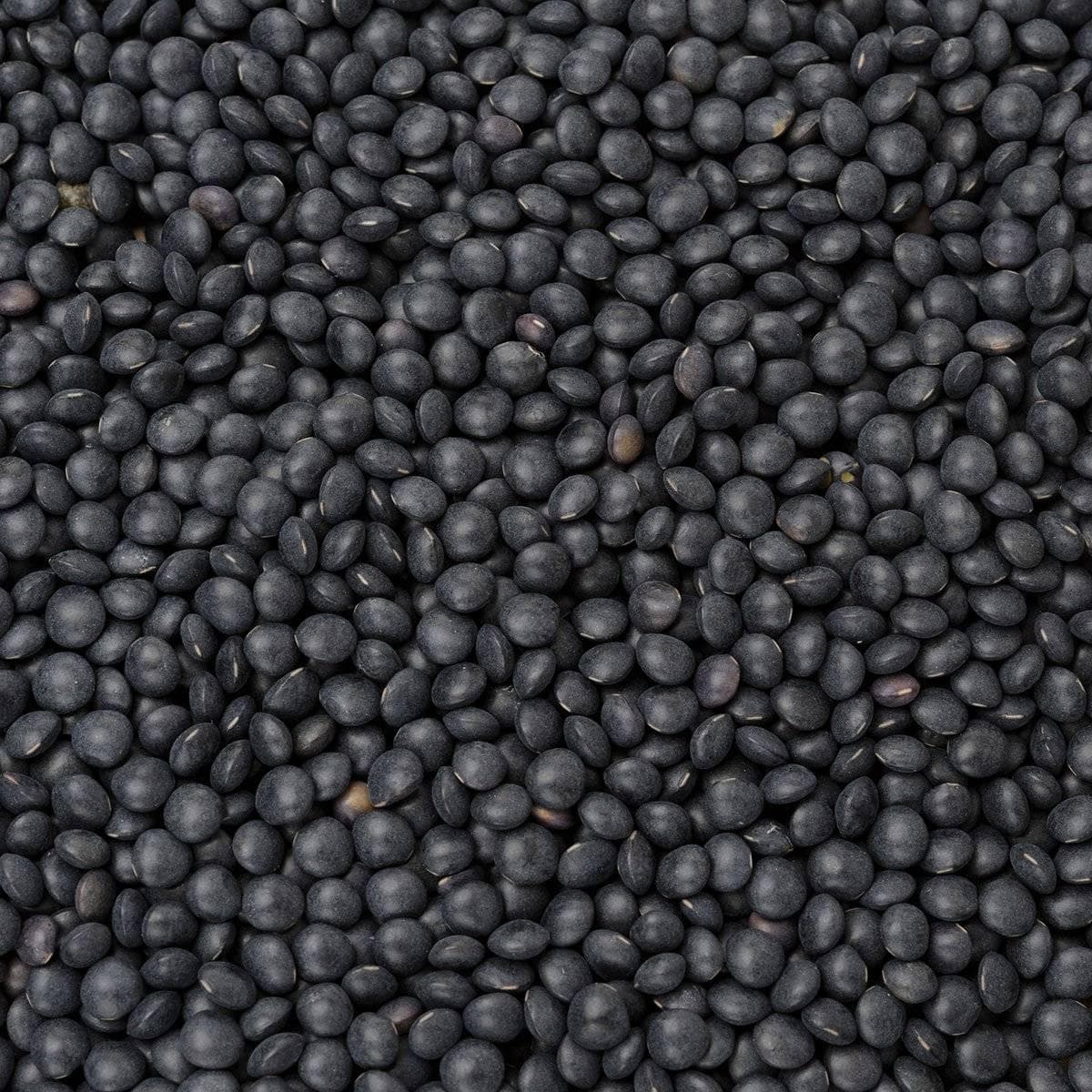 黑扁豆（Beluga Lentils）： 用途、烹饪和营养价值！