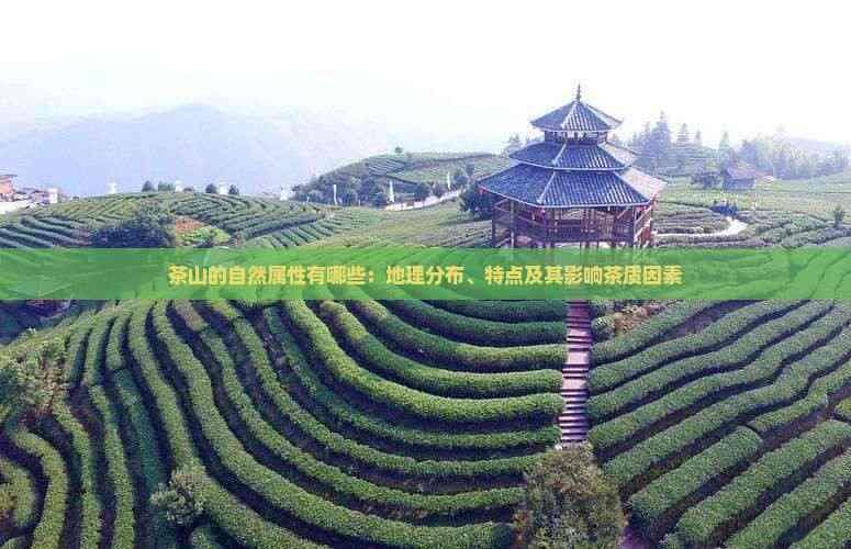 茶山的自然属性及其对茶叶品质的影响