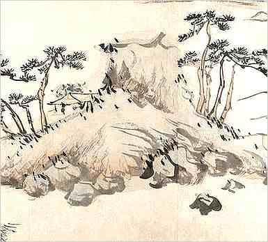蓝靛果的功效与作用：一种被誉为“饮品之首”的营养果实