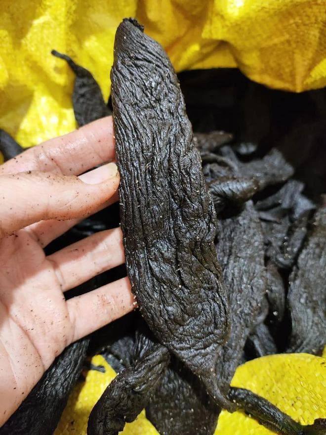 张红甫教你做老式萝卜干传承经典美味