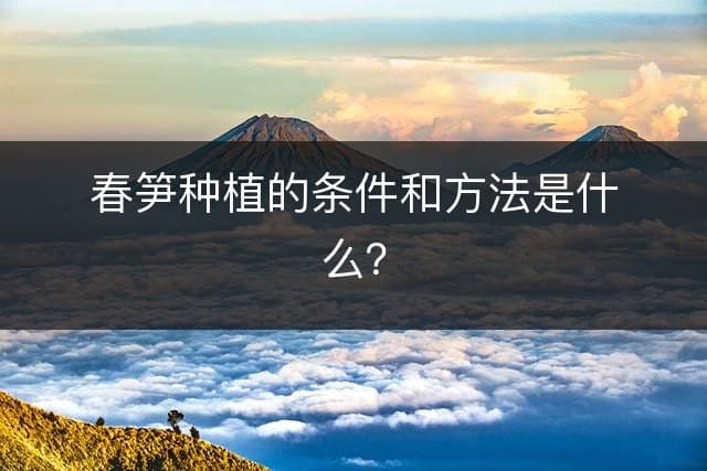 春笋种植的条件和方法是什么？