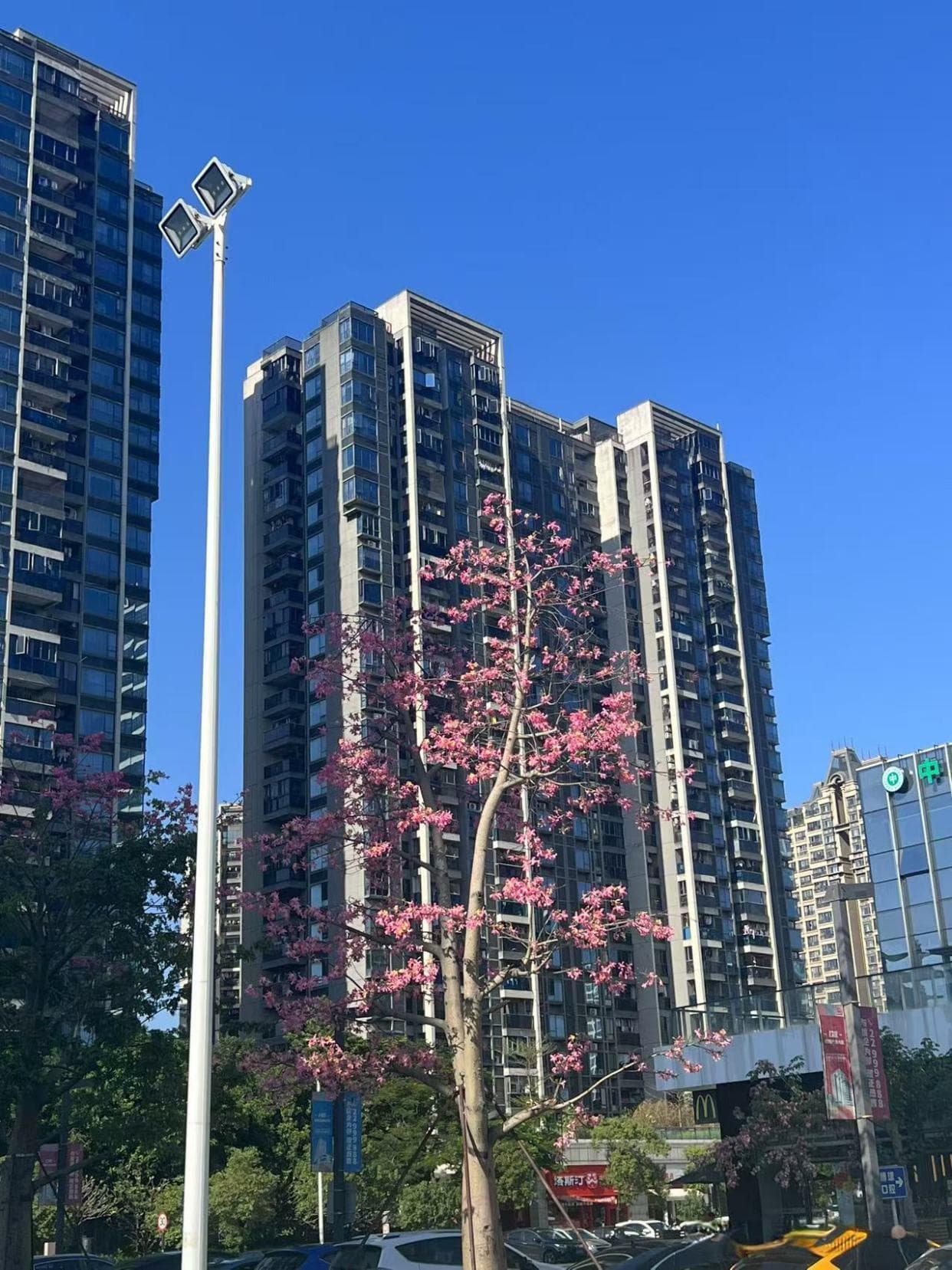 所有者权益类常用会计科目解析盈余公积，适用《小企业会计准则》