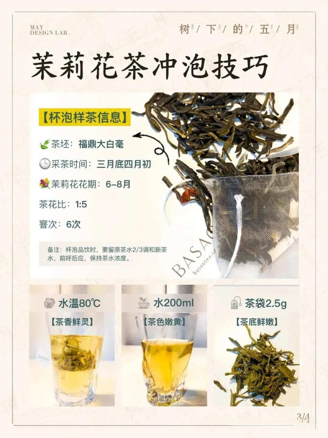关于茉莉花茶你想了解的全在这儿！干货满满！