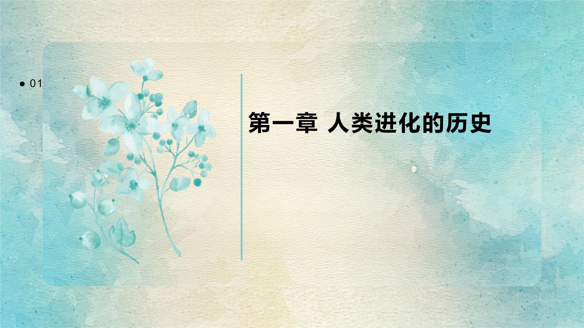 进化和自然选择